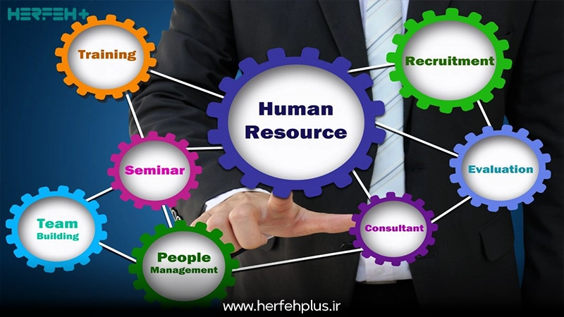 اهمیت مدیریت منابع انسانی در سازمان