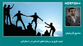 تیم سازی و سرمایه های انسانی در استارتاپ