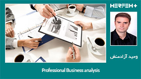 Professional Business analysis